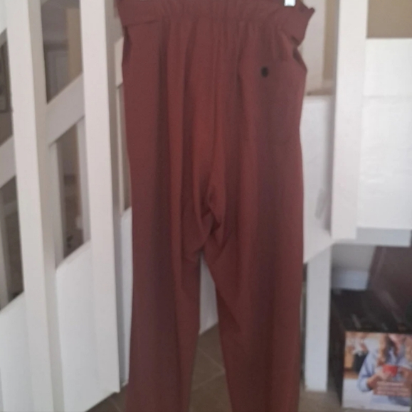 Athleta Skyline 2 Brick colored Quickdry Pants w built in belt sz10 EUC - Picture 5 of 8